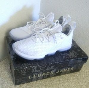 lebron xiv low white